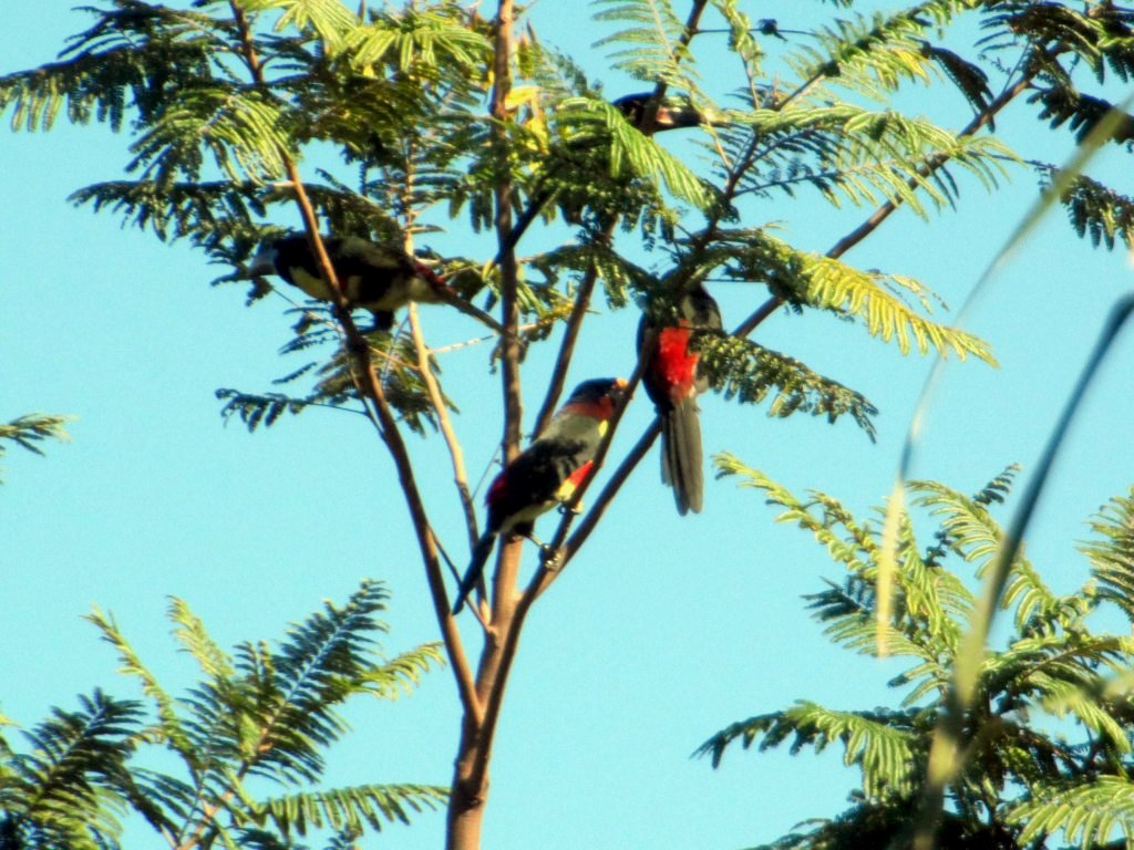 gleich kommt der Winter