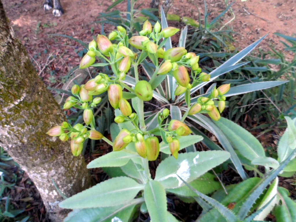 gleich kommt der Winter