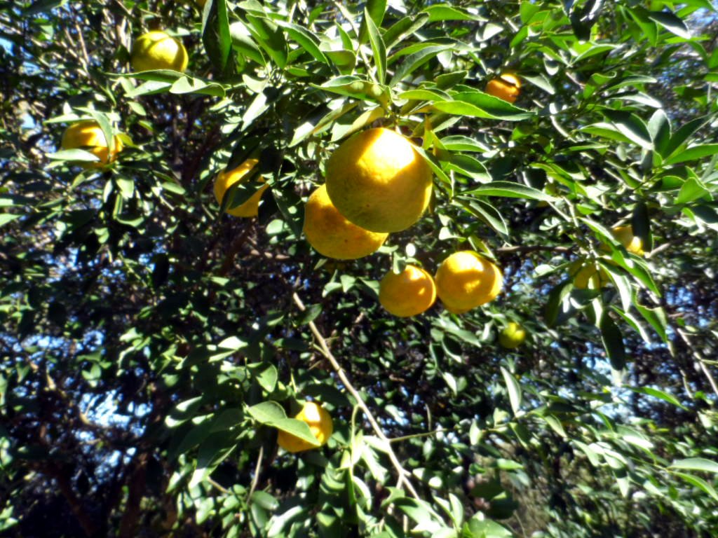 gleich kommt der Winter