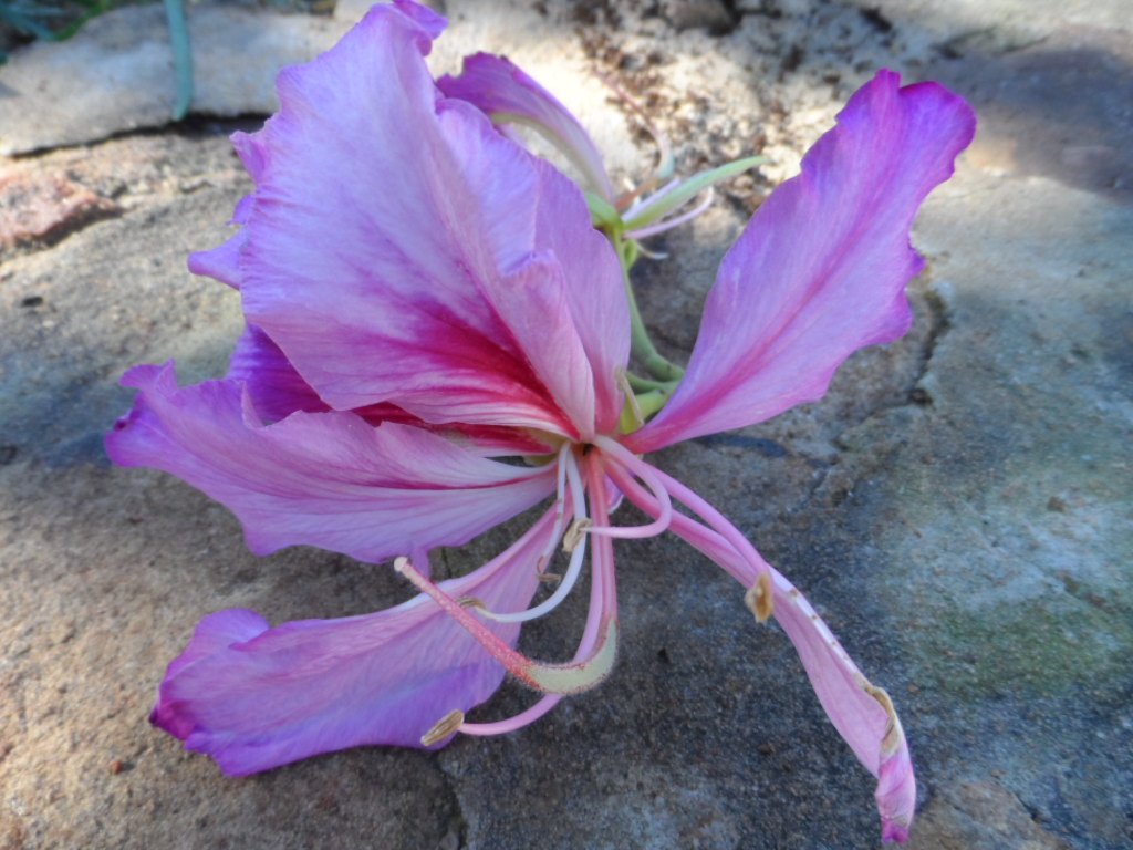 gleich kommt der Winter