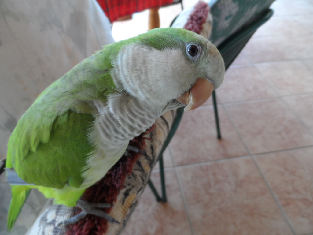 ein herrlicher warmer Wintertag