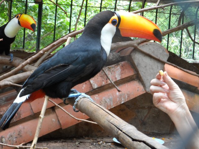 ein herrlicher warmer Wintertag