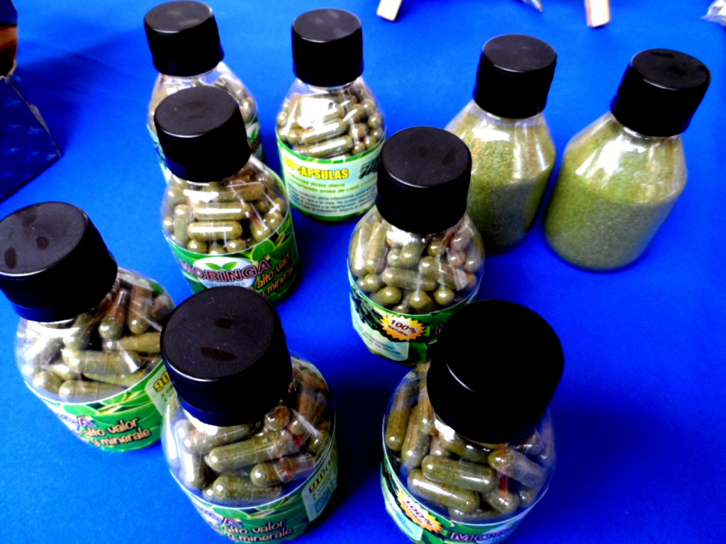 Moringa der Baum des Lebens