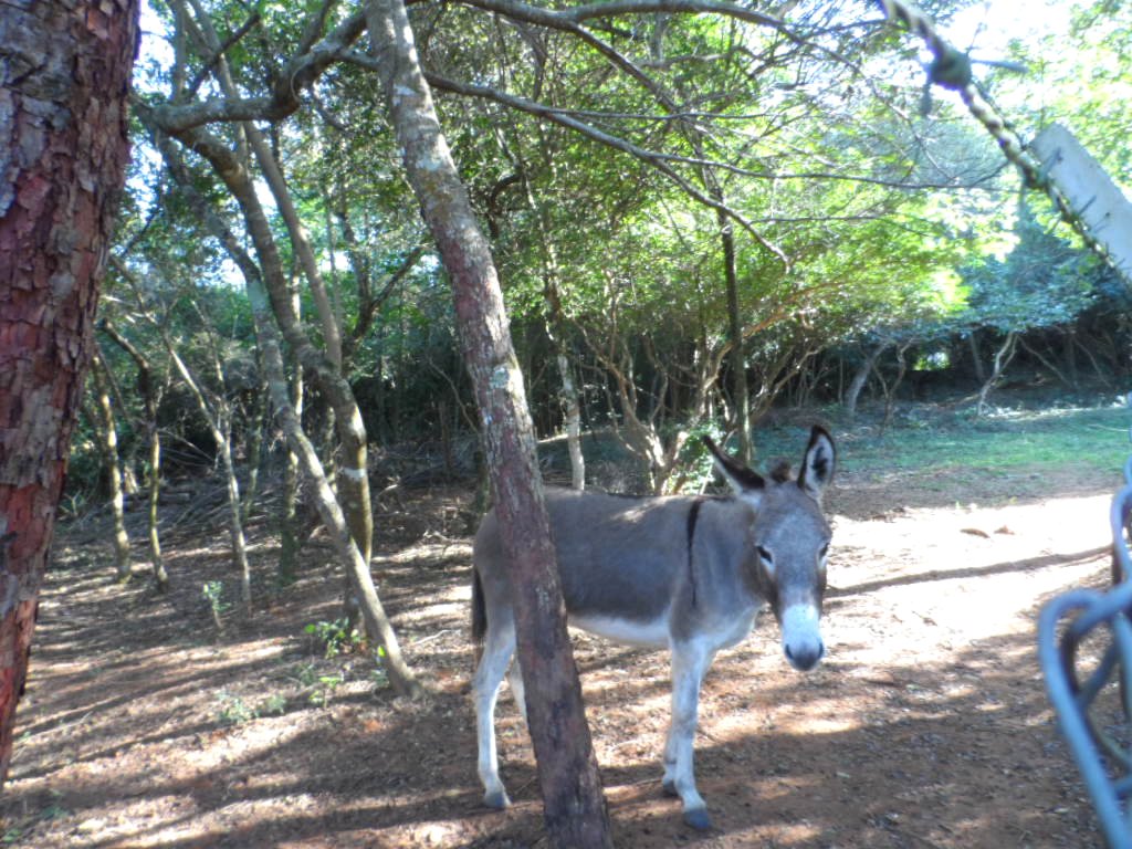 ein herrlicher warmer Wintertag