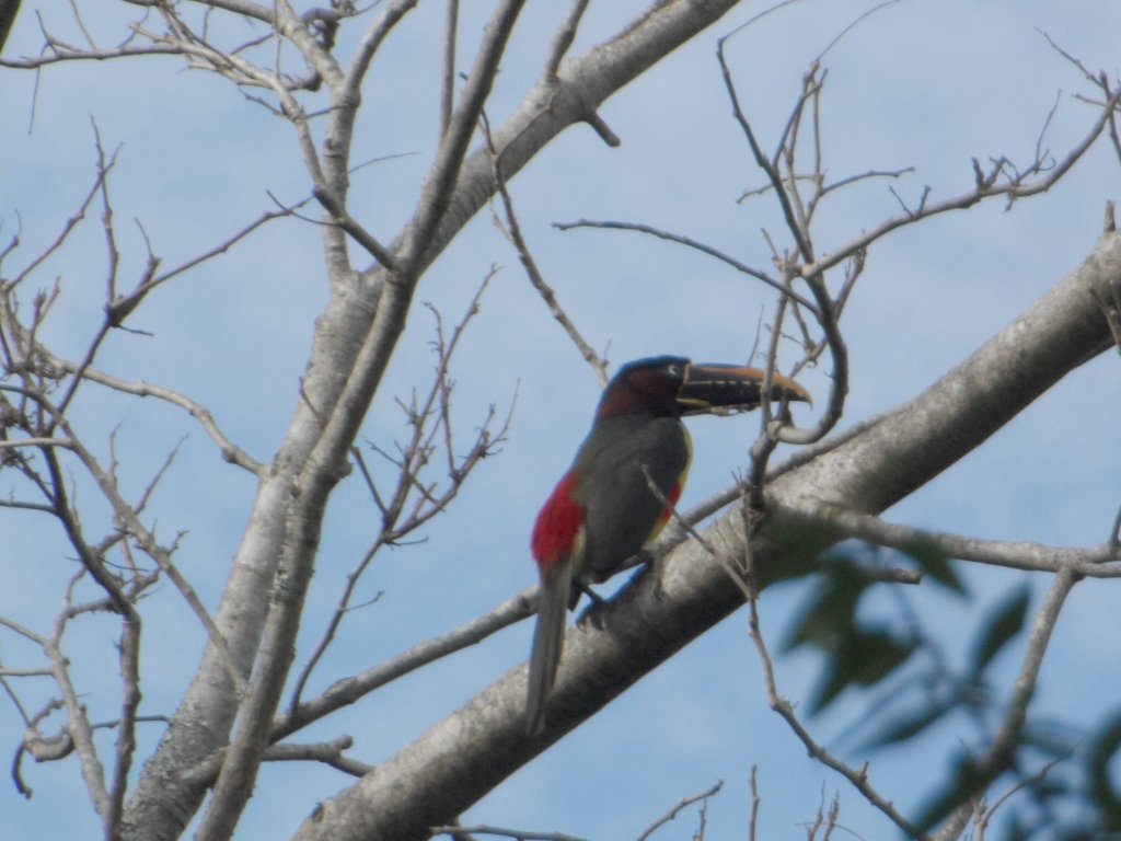 ein herrlicher warmer Wintertag