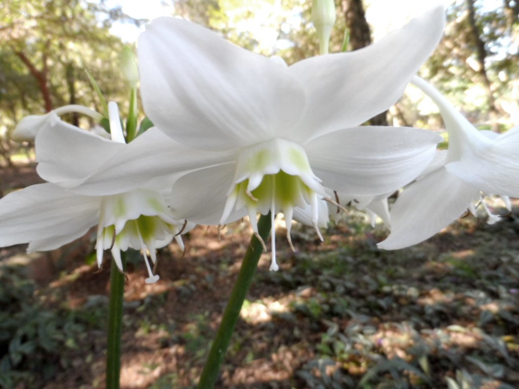 ein herrlicher warmer Wintertag