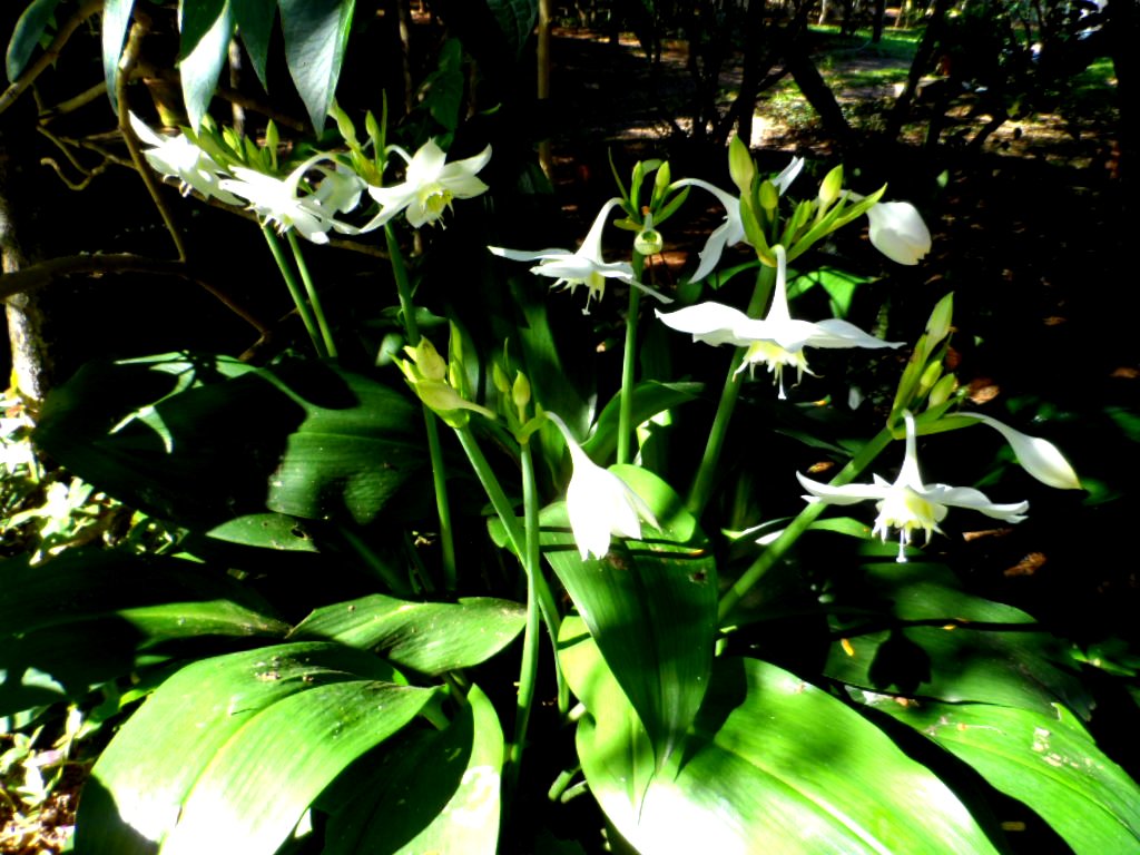 ein herrlicher warmer Wintertag