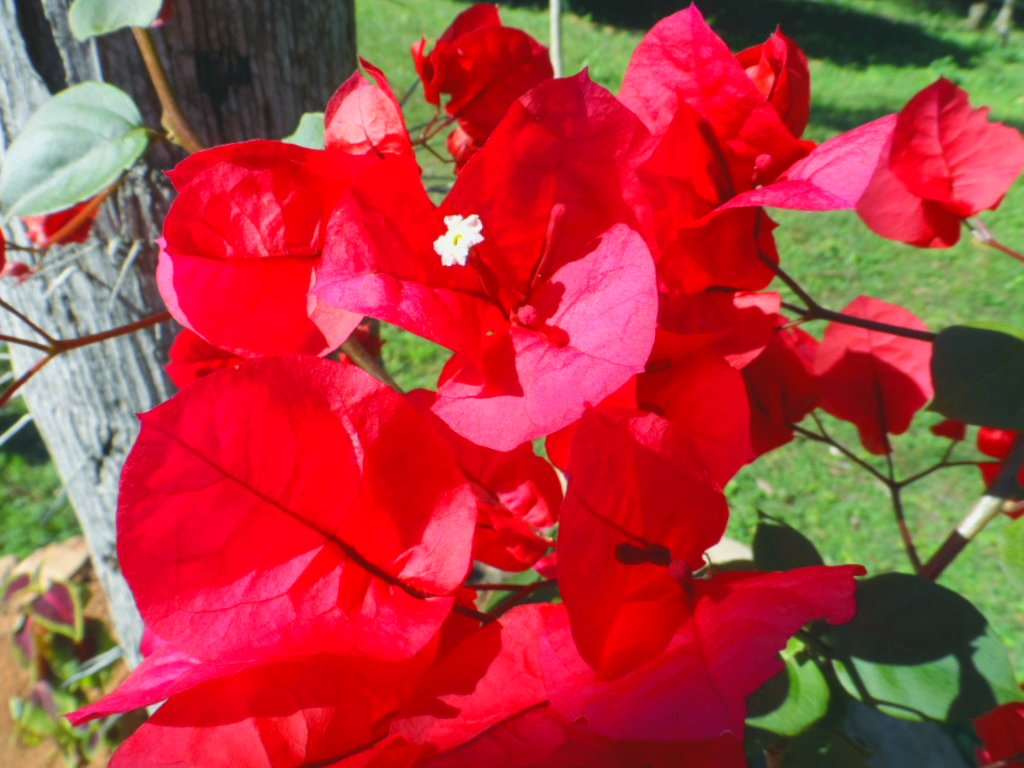 ein herrlicher warmer Wintertag