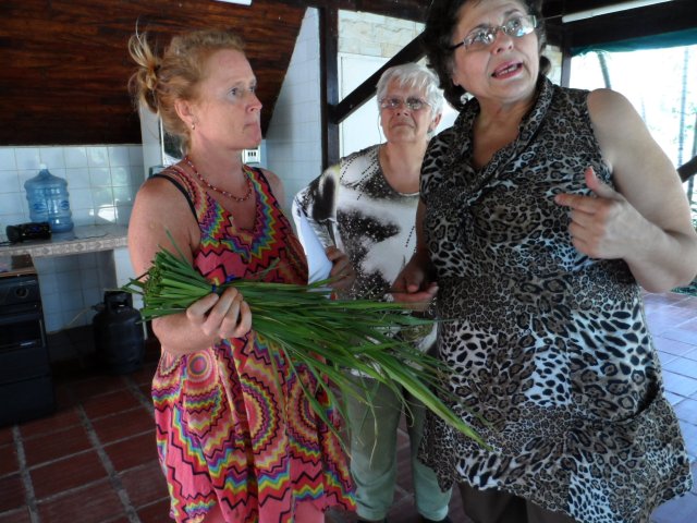 Gesundheitstage bei Christina in Altos vom 7.8. bis 11.8 und mehr