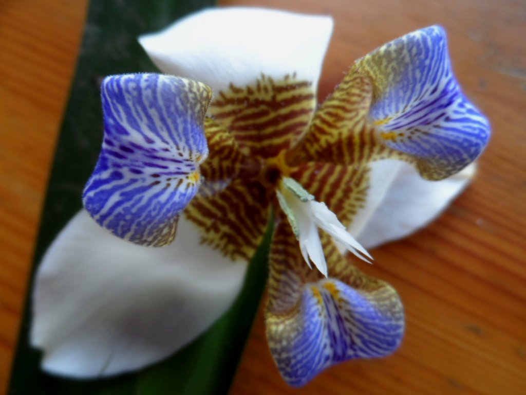 von 32 Grad runter auf 5 Grad