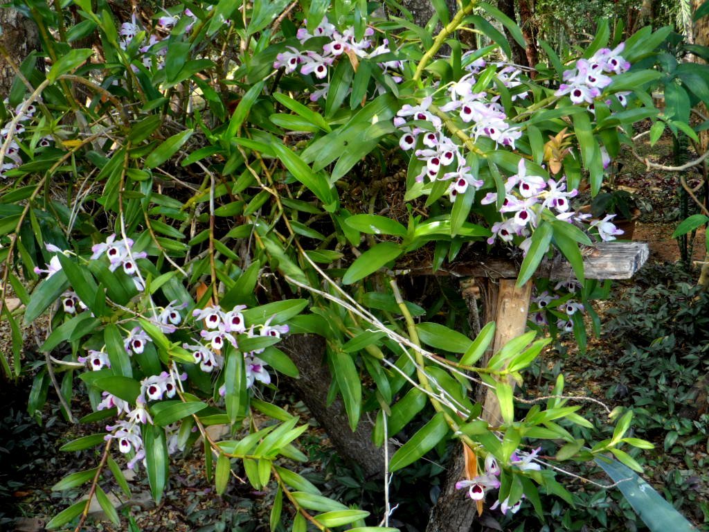 von 32 Grad runter auf 5 Grad