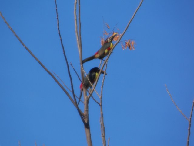 Hurra der Winter ist fast vorbei in Paraguay