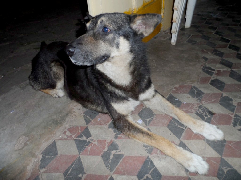 120 Jahre Deutscher Verein Patria in Altos Paraguay