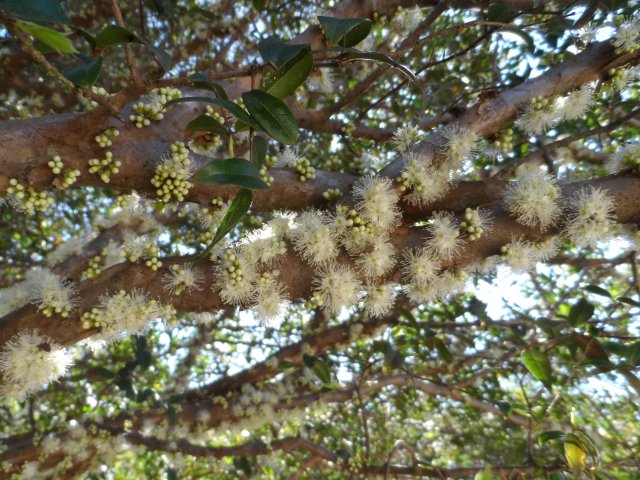 Hurra der Winter ist fast vorbei in Paraguay