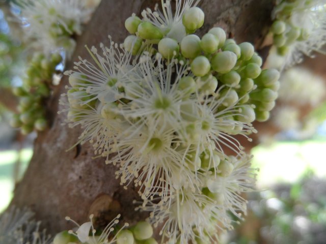 Hurra der Winter ist fast vorbei in Paraguay