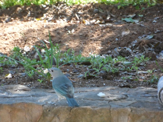 Hurra der Winter ist fast vorbei in Paraguay