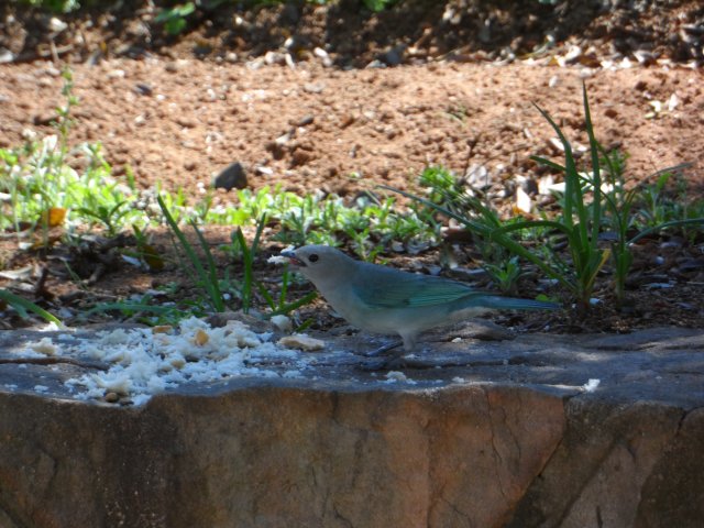 Hurra der Winter ist fast vorbei in Paraguay