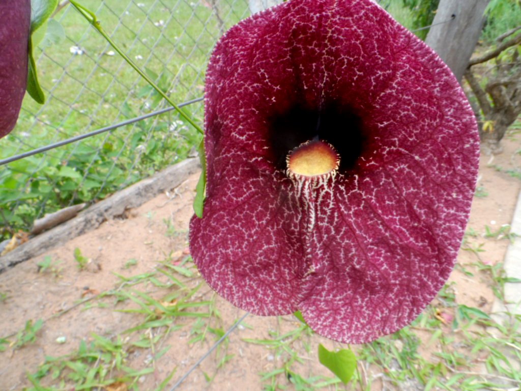 ich denke, es wird mal wieder Zeit.....