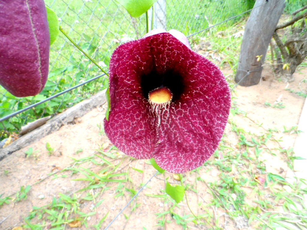 ich denke, es wird mal wieder Zeit.....