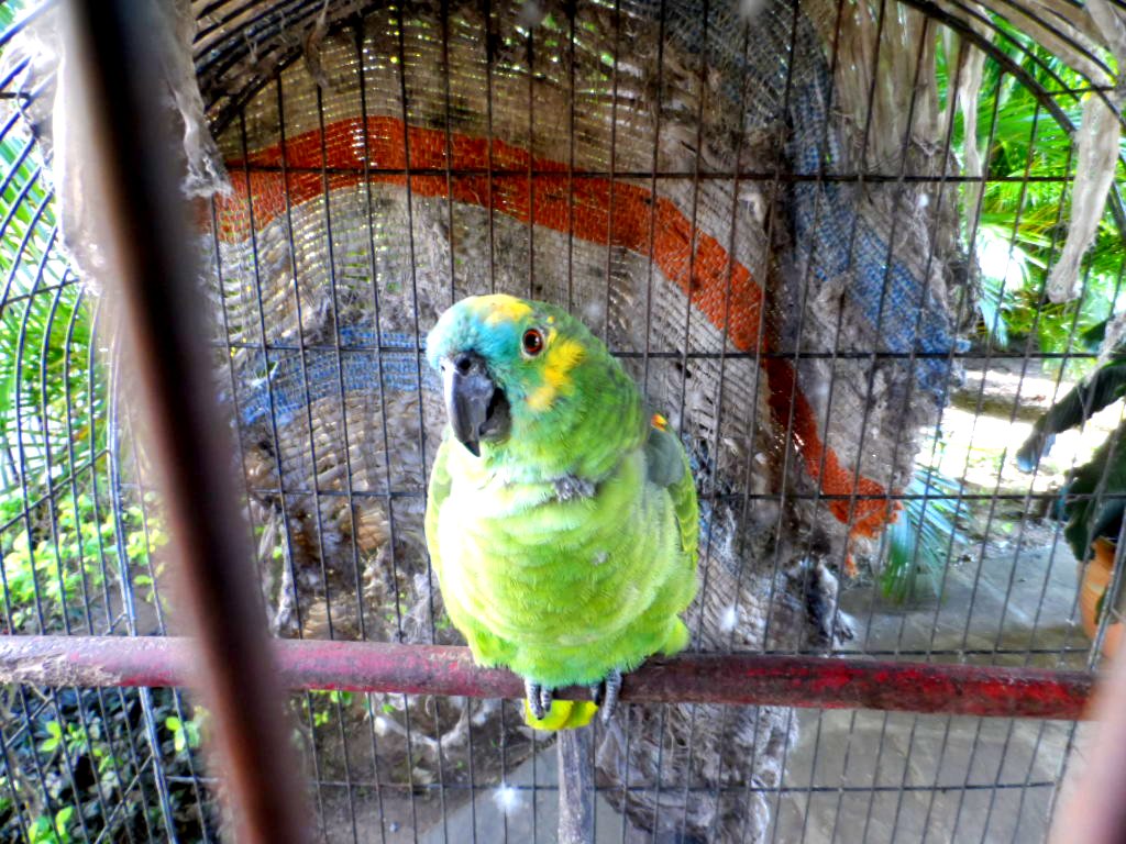 ich denke, es wird mal wieder Zeit.....