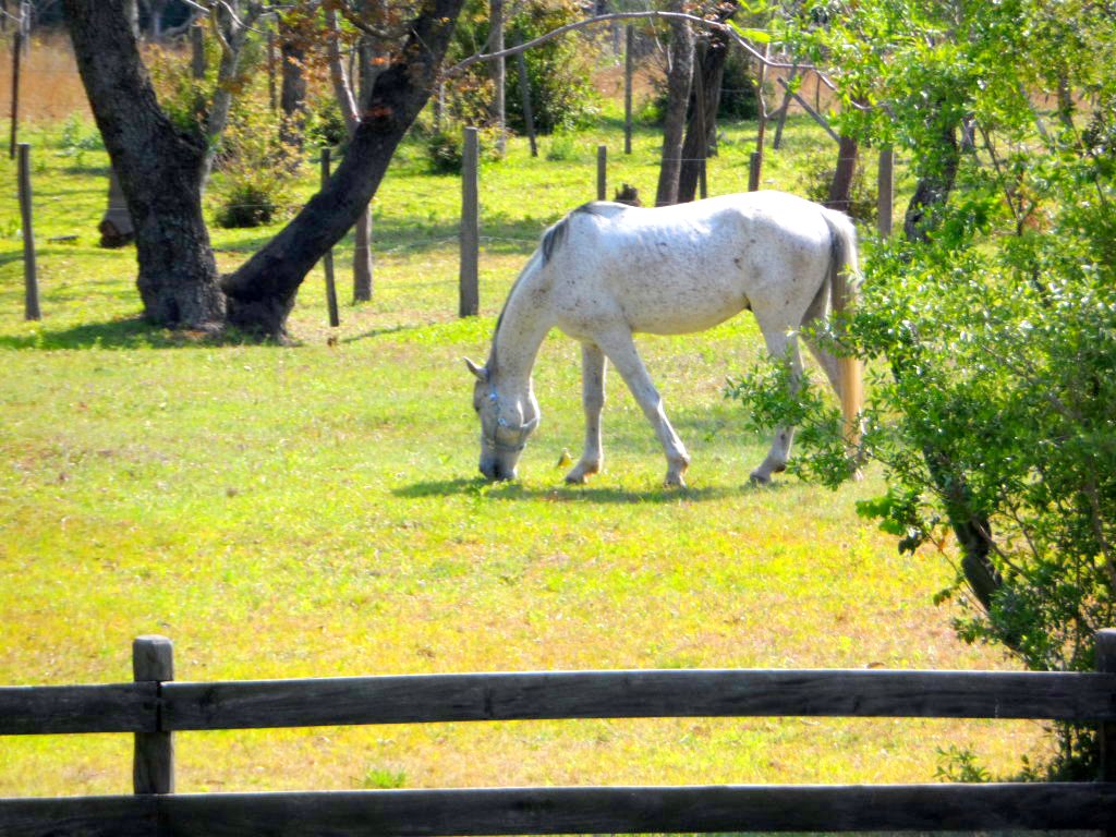 ich denke, es wird mal wieder Zeit.....
