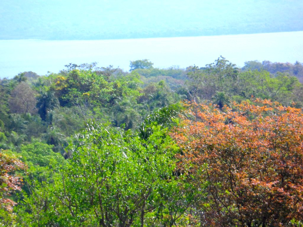ich denke, es wird mal wieder Zeit.....