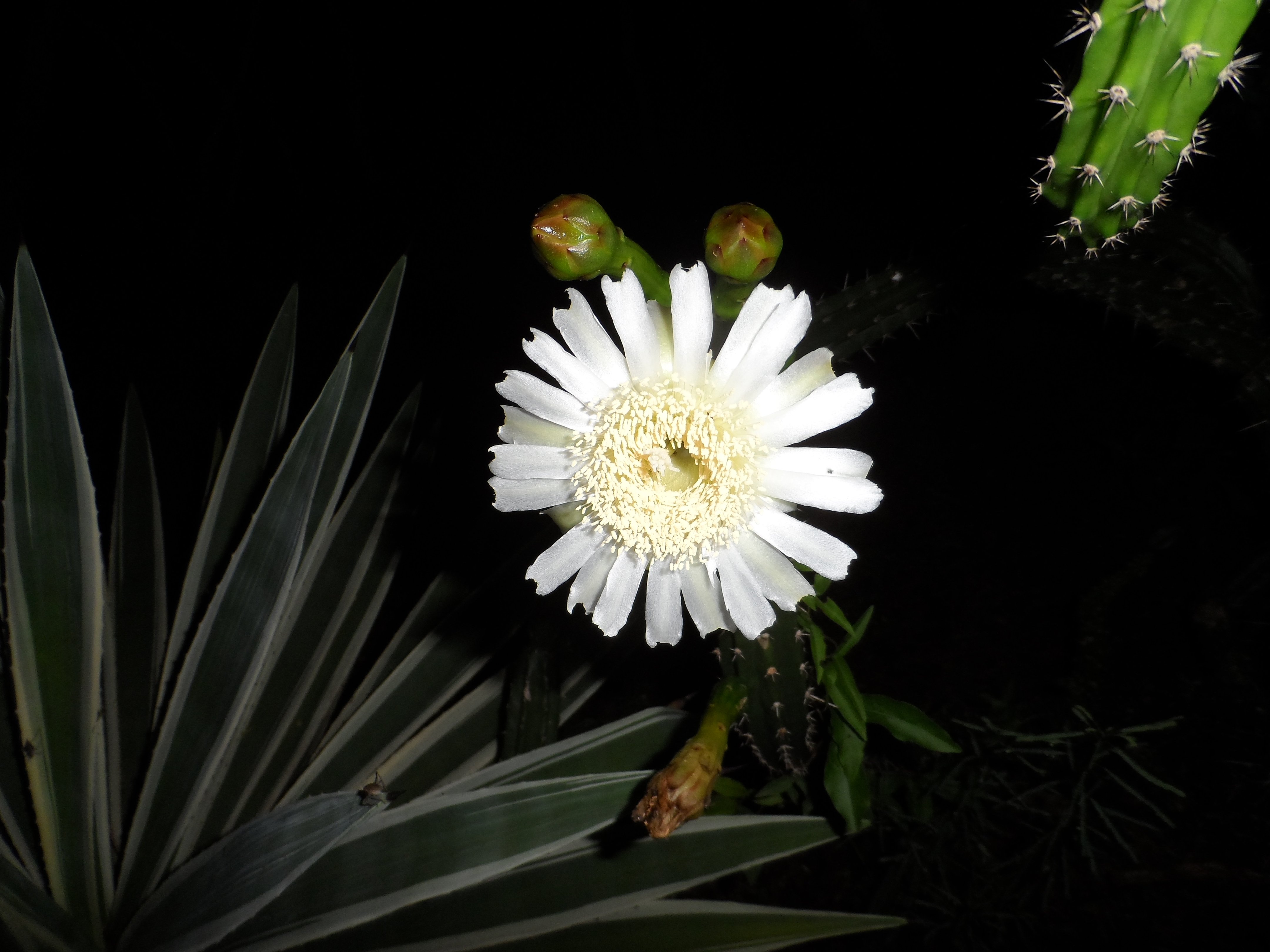 Nun habe ich wieder etwas mehr Zeit