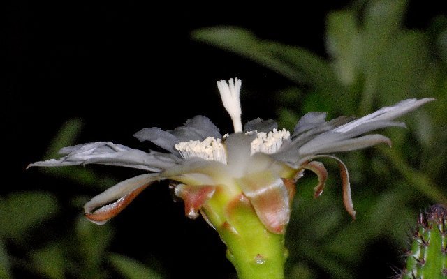 Nun habe ich wieder etwas mehr Zeit