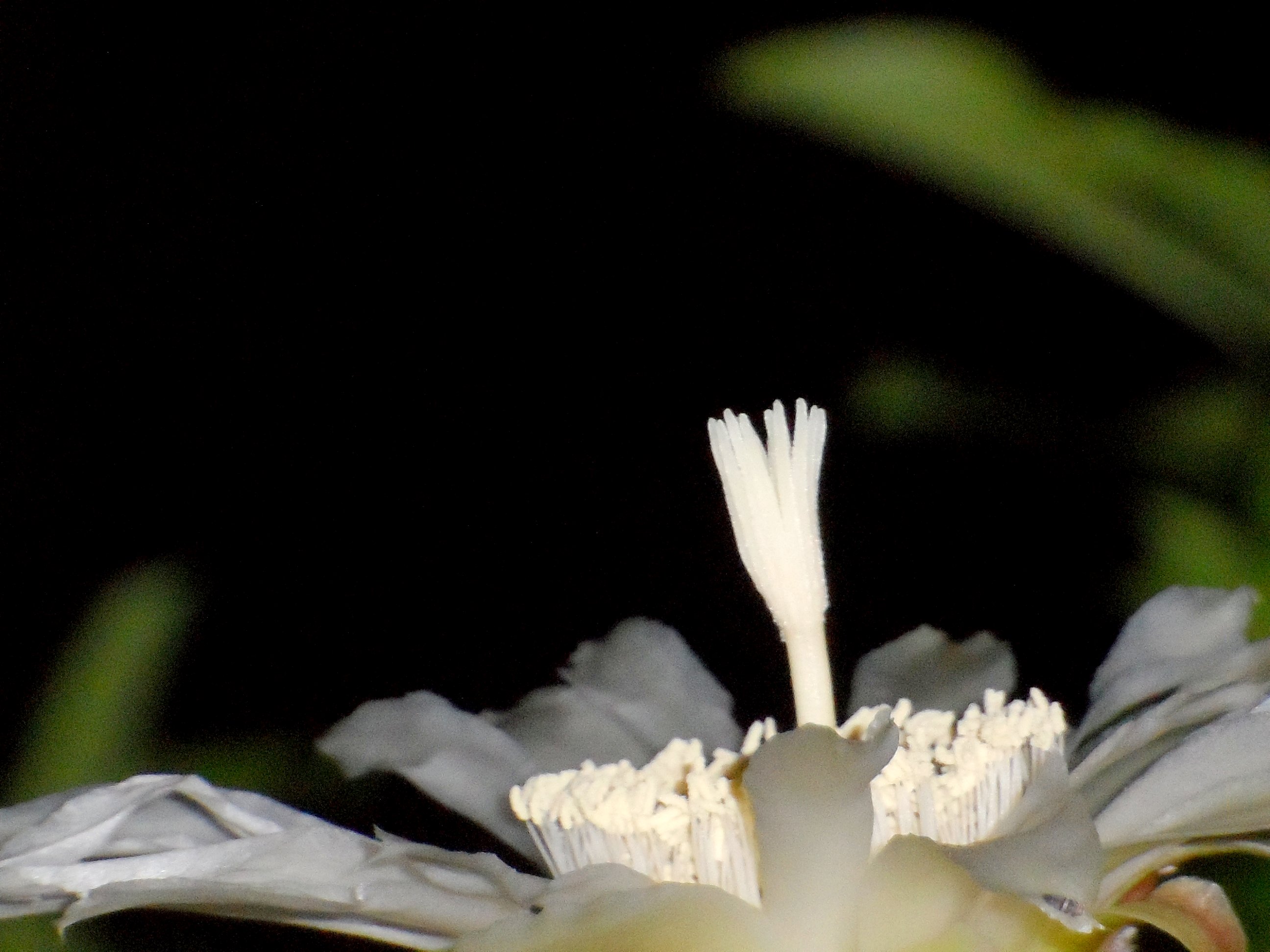 Nun habe ich wieder etwas mehr Zeit