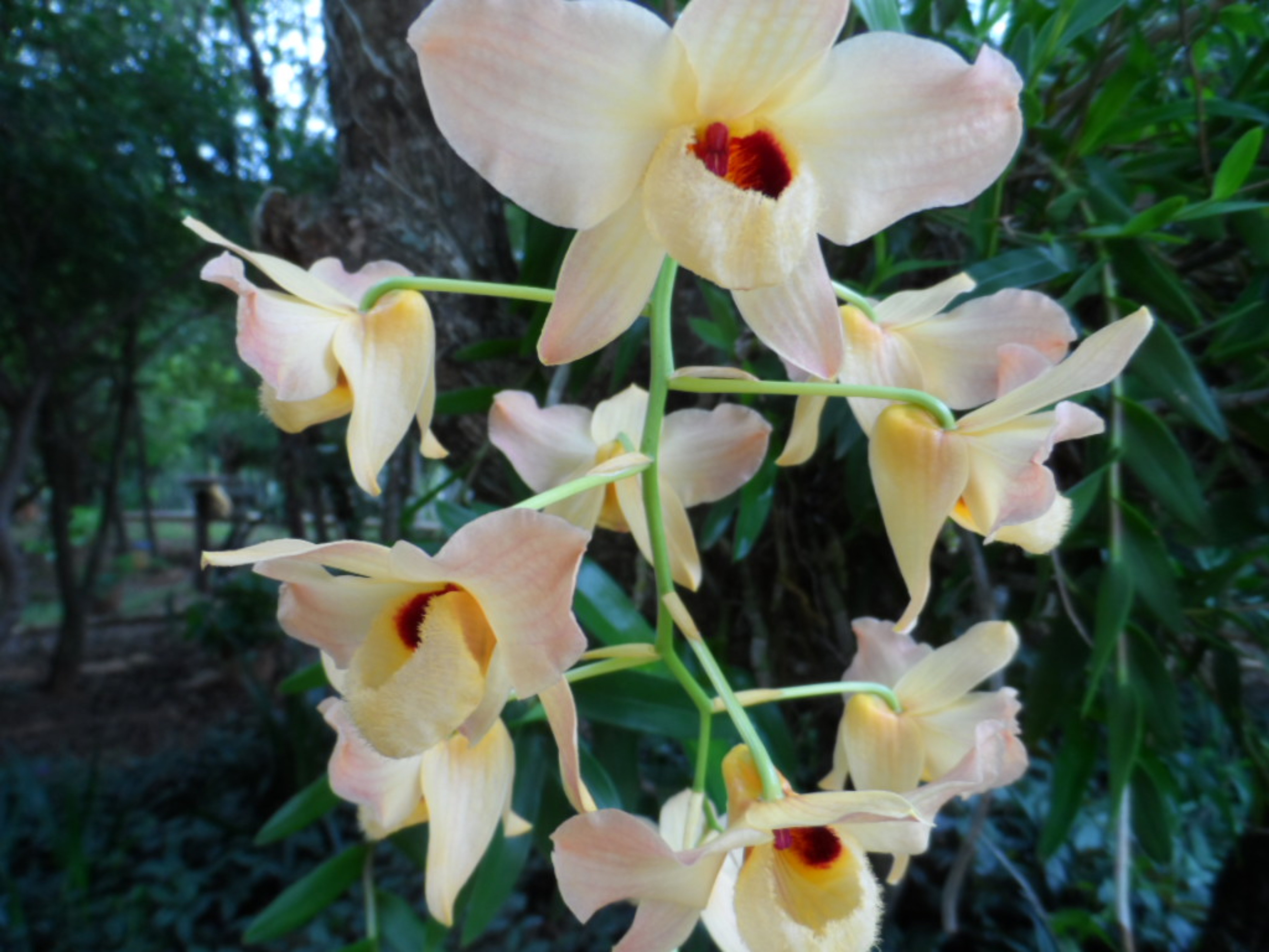 Lorenz, Gäste, Feier, warm und Regen