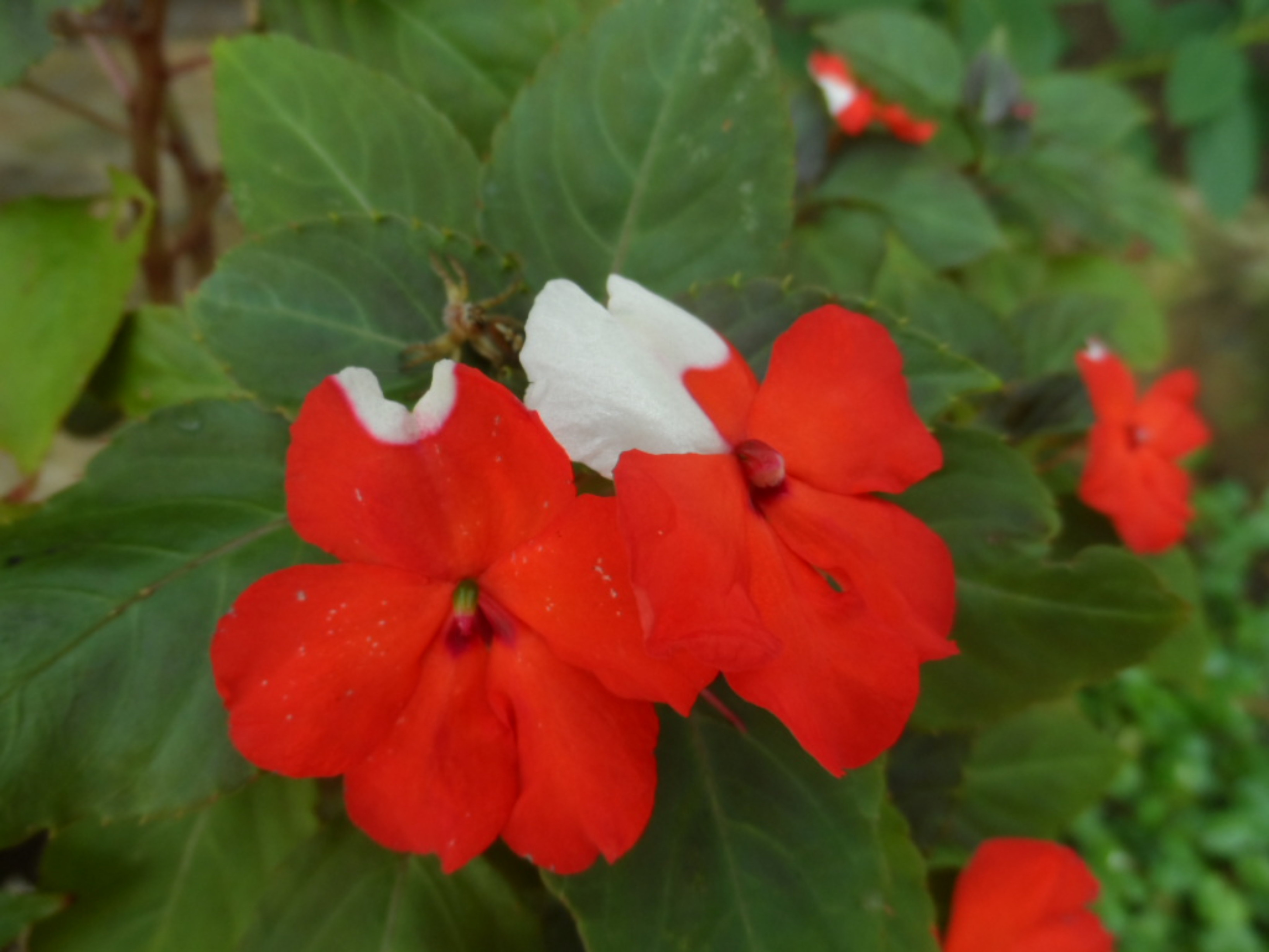 Lorenz, Gäste, Feier, warm und Regen