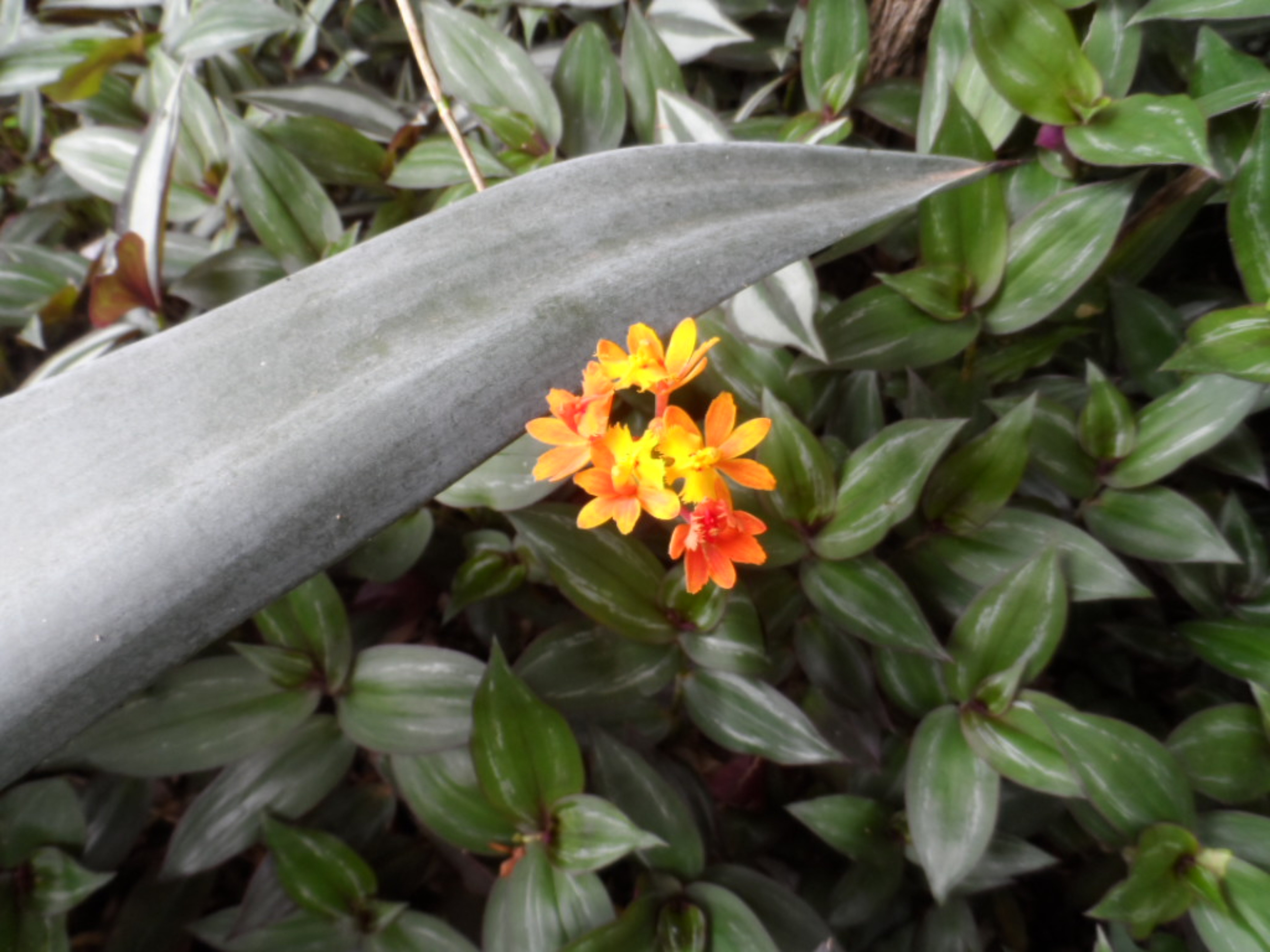 Lorenz, Gäste, Feier, warm und Regen