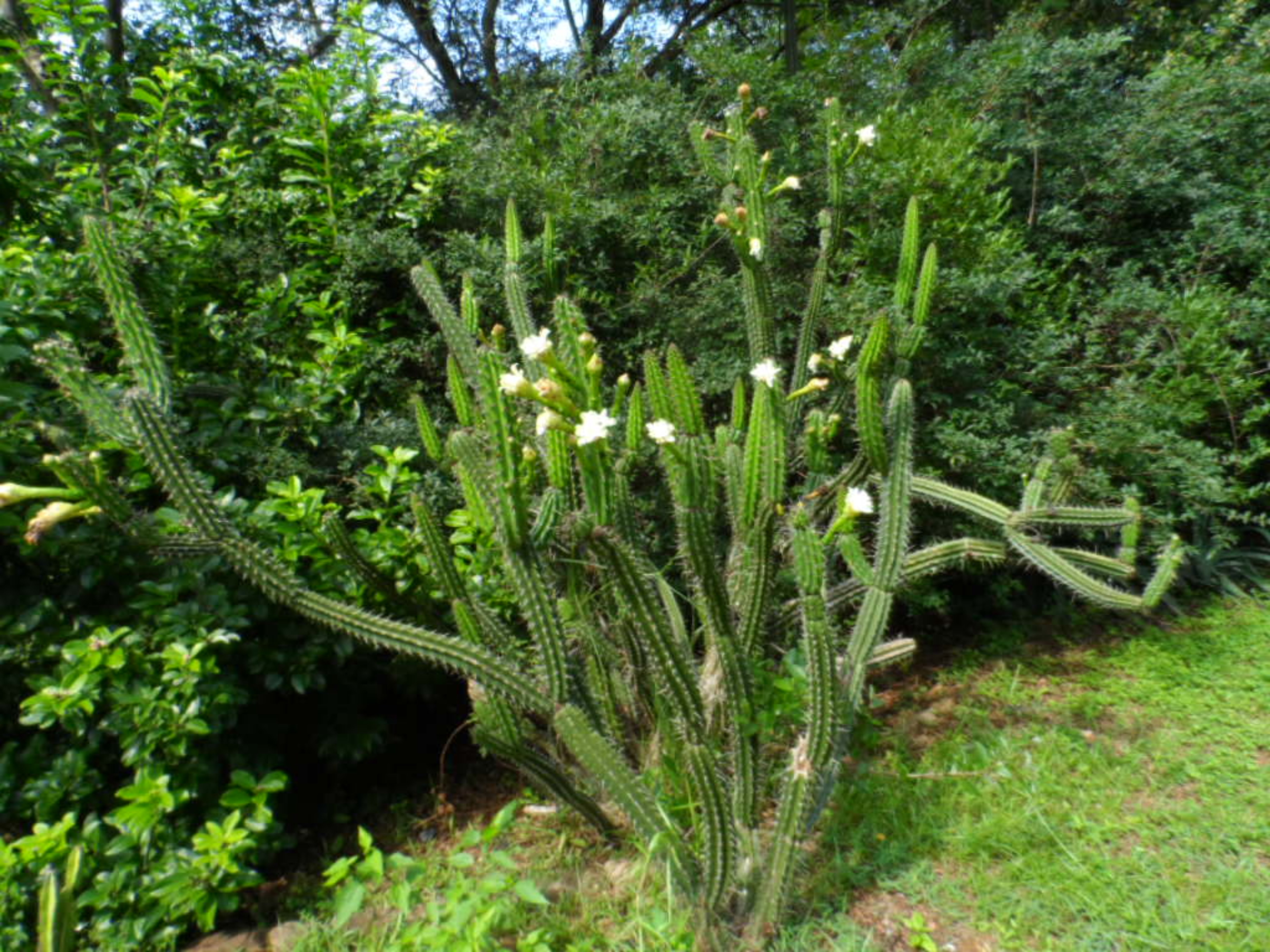 Lorenz, Gäste, Feier, warm und Regen