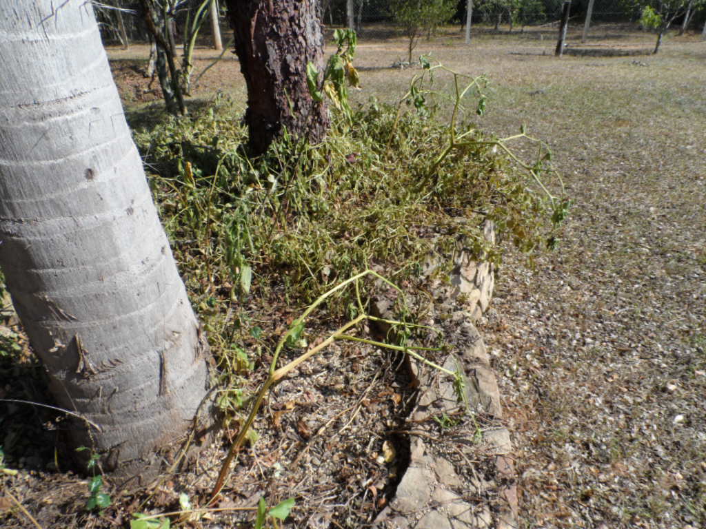 gefühlte 65 Grad Wärme