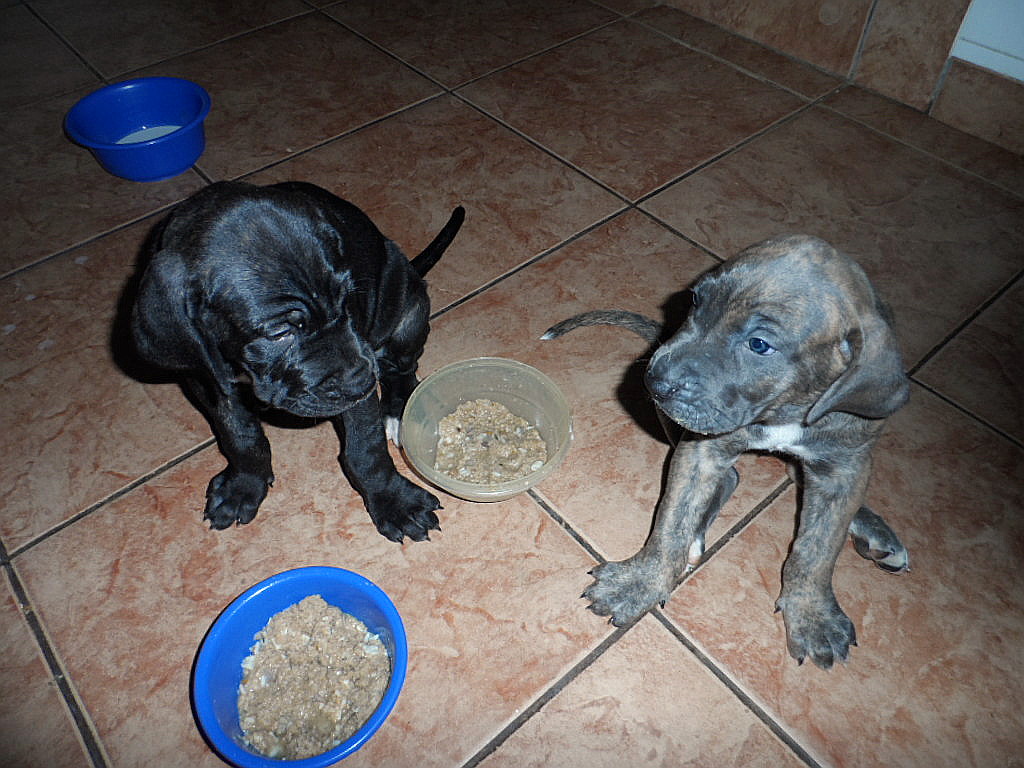 gefühlte 65 Grad Wärme