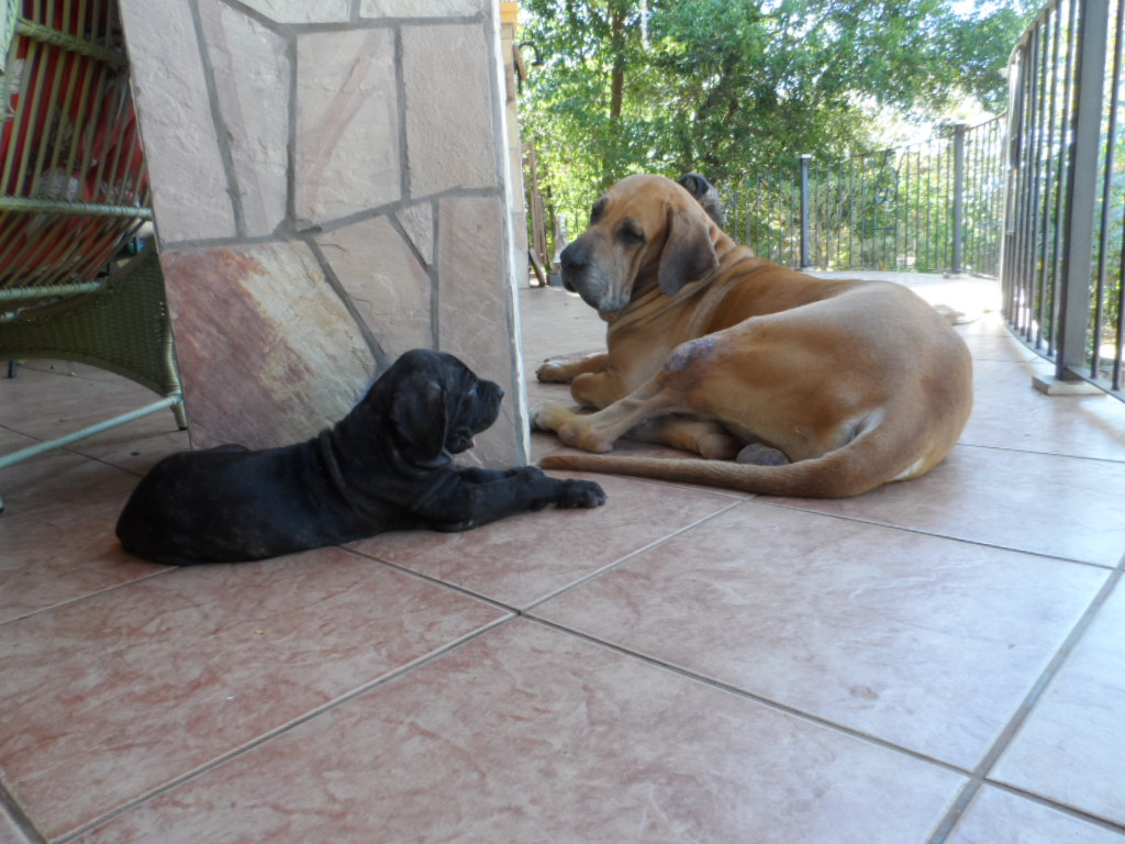 gefühlte 65 Grad Wärme