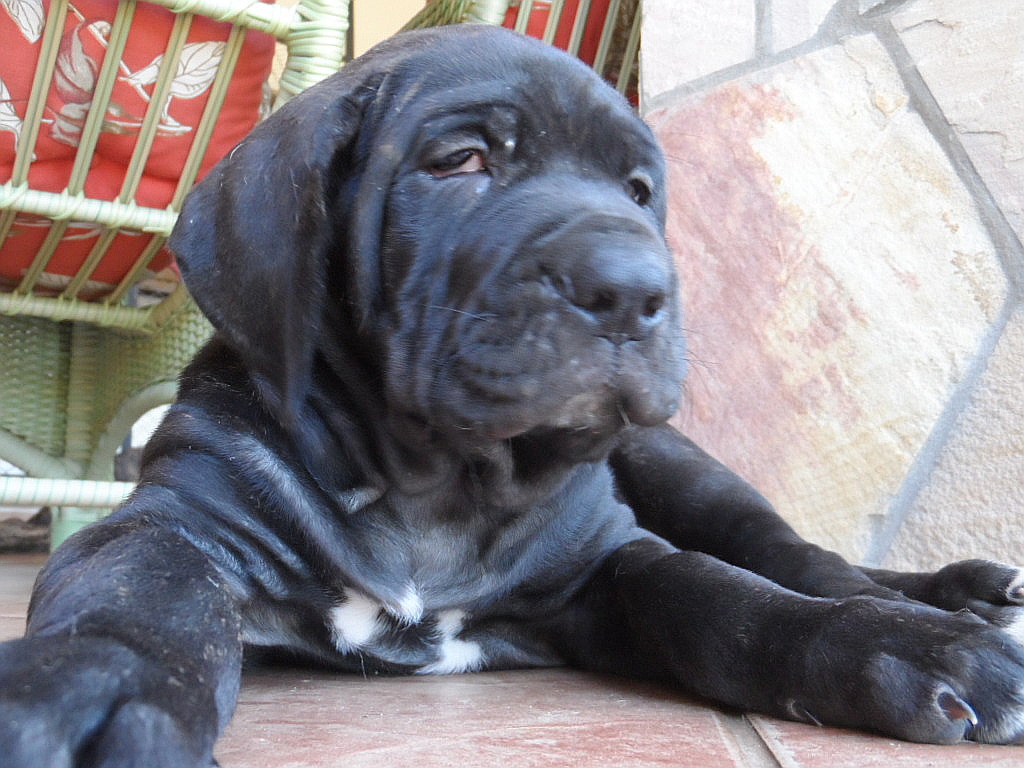 gefühlte 65 Grad Wärme