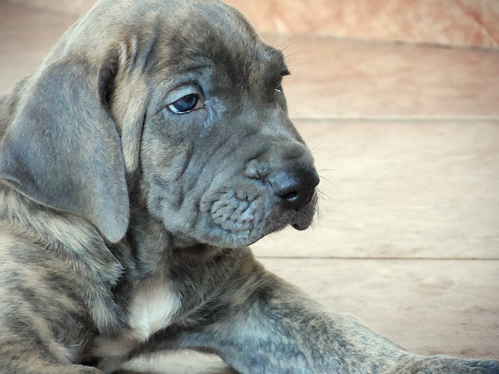 gefühlte 65 Grad Wärme