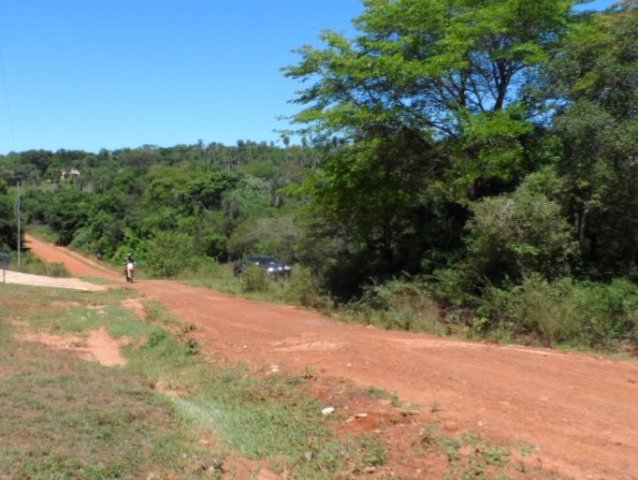 Motogross, Vogelspinne usw.