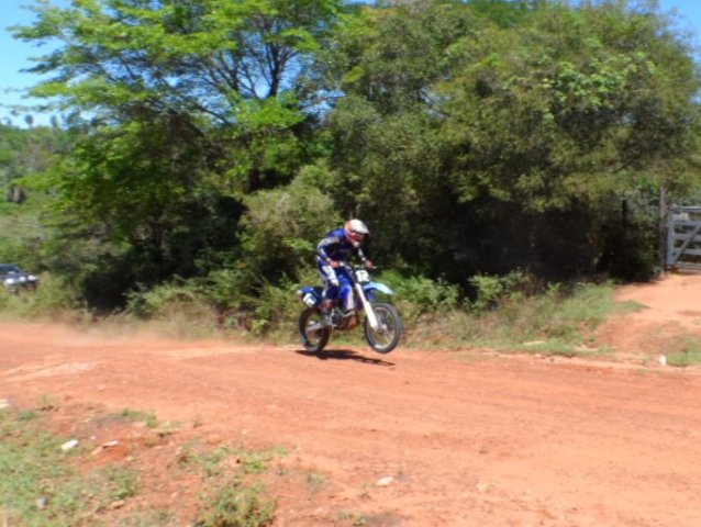 Motogross, Vogelspinne usw.