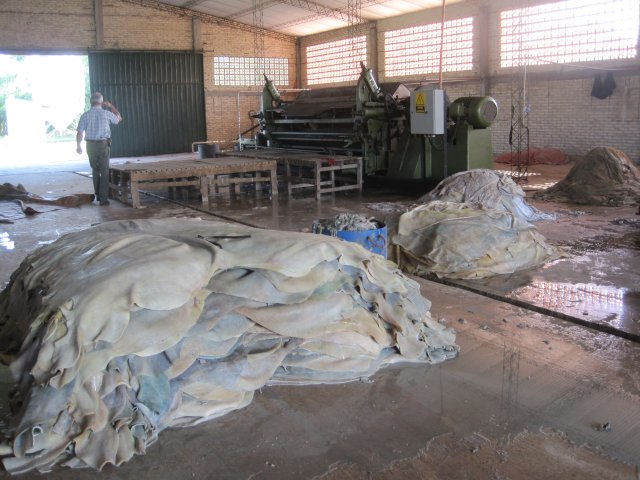 Caacupé, Reiten Tobati, Atyra