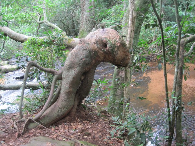 Tina,Heidi und noch mehr
