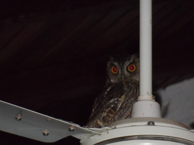 Besuch aus Deutschland