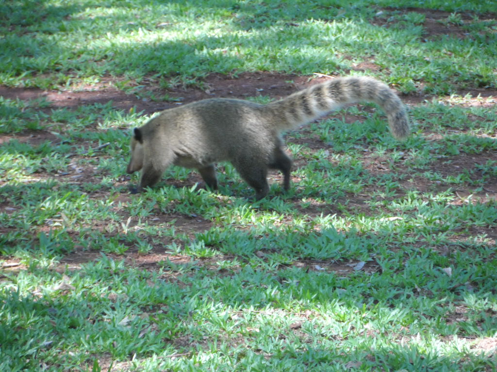 Kraftwerk und Wasserfälle
