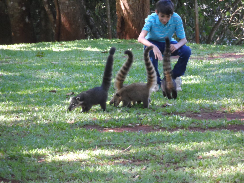 Kraftwerk und Wasserfälle