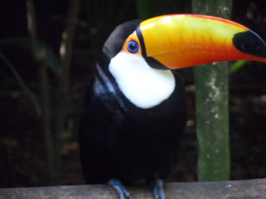 Kraftwerk und Wasserfälle