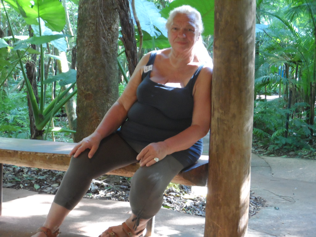 Kraftwerk und Wasserfälle