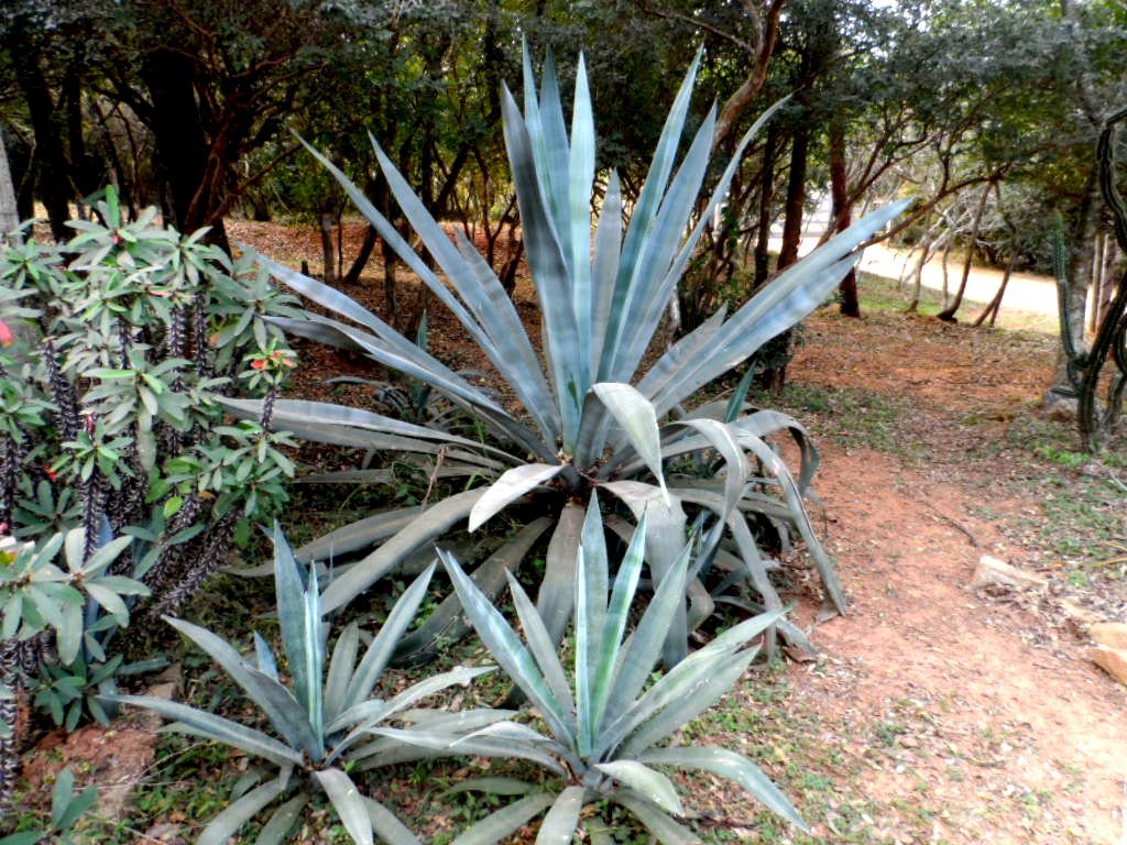 Erst Regen, jetzt goldener Herbst