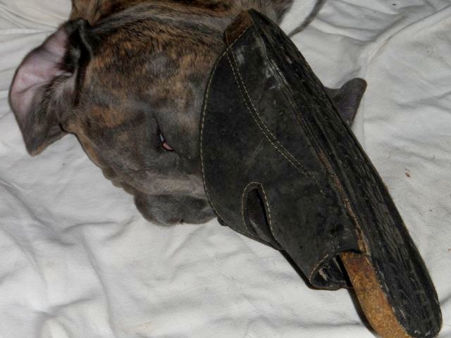 Erst Regen, jetzt goldener Herbst