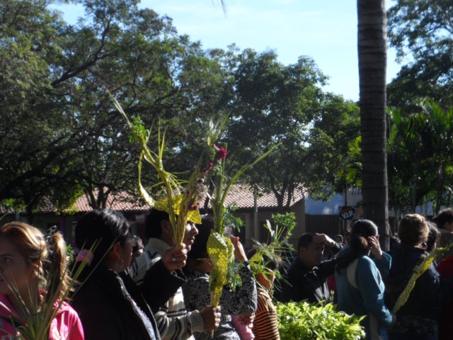 Palmsonntag in Altos 2014